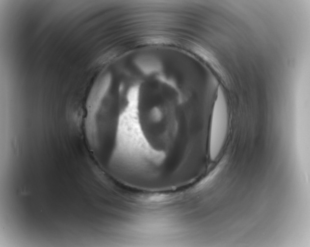 X0000088470841200706051341