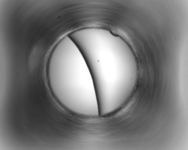 X0000088470843200706051341