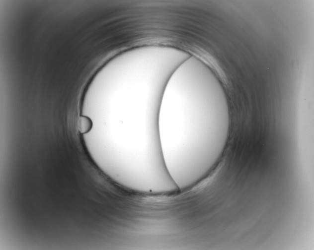 X0000088470844200706051341