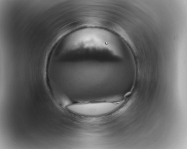 X0000088470845200706051341