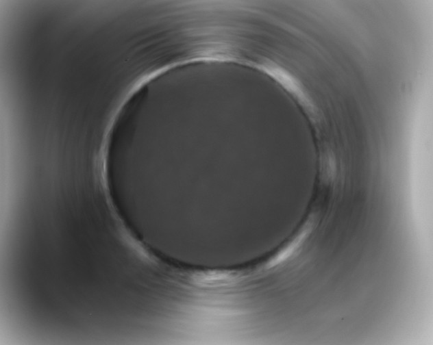 X0000088470846200706051341