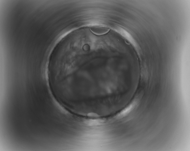 X0000088470847200706051341