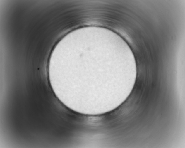 X0000088470848200706051341