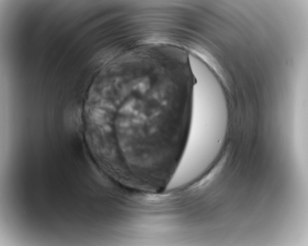 X0000088470849200706051341