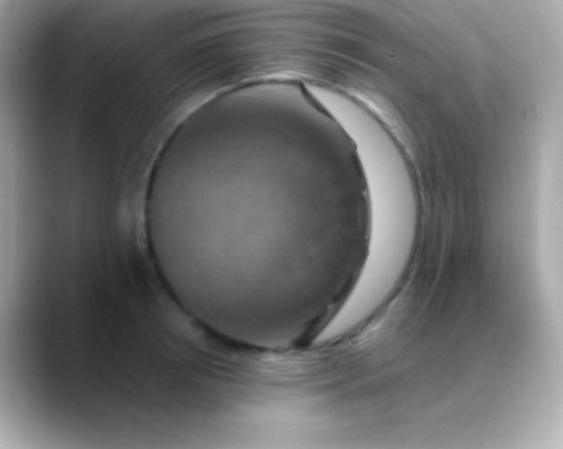 X0000088470850200706051341