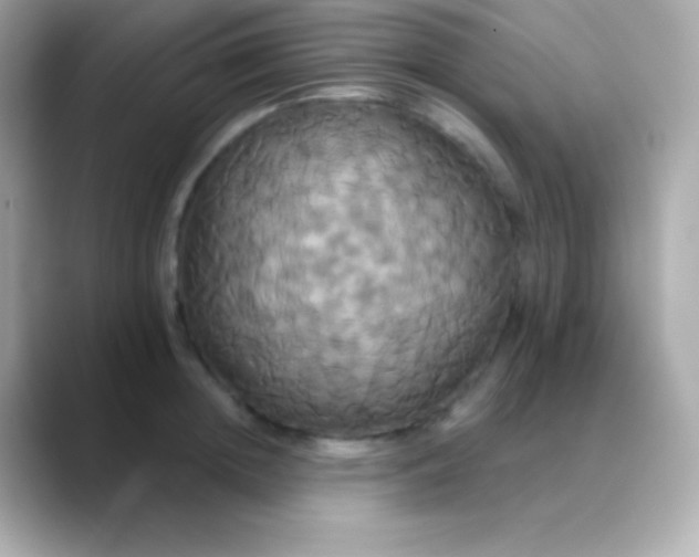 X0000088470852200706051341