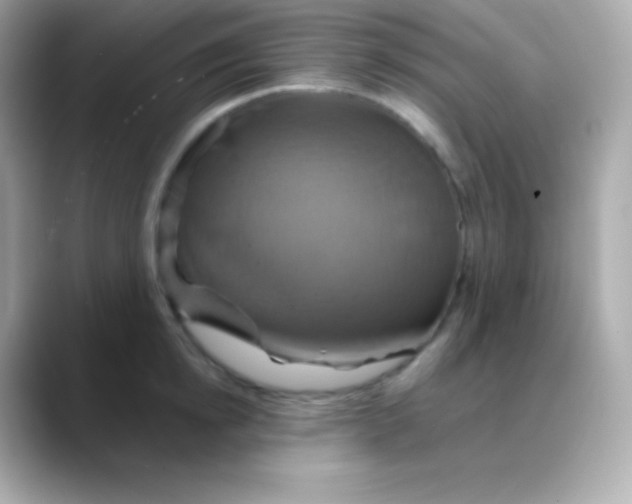 X0000088470854200706051341