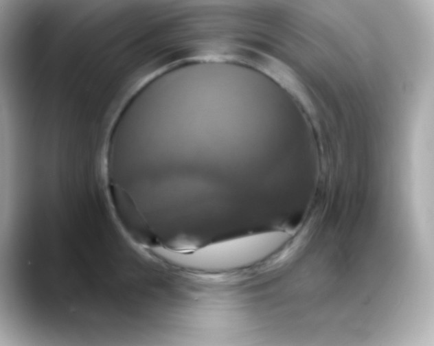 X0000088470855200706051341