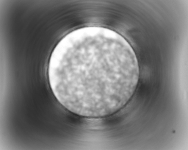 X0000088470856200706051341