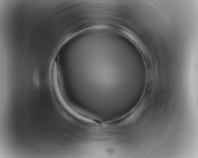 X0000088470858200706051341