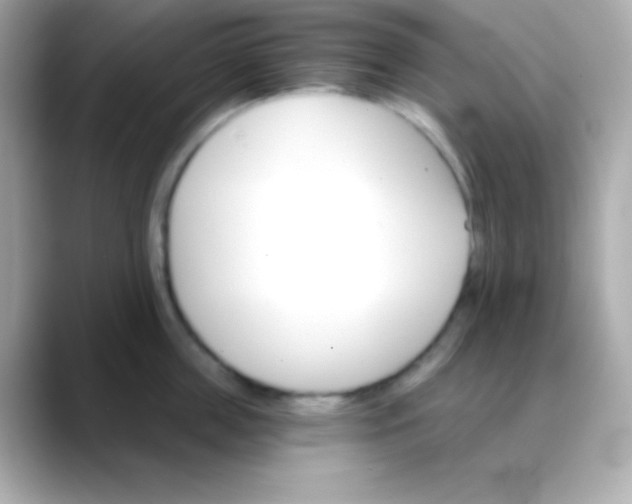 X0000088470859200706051341