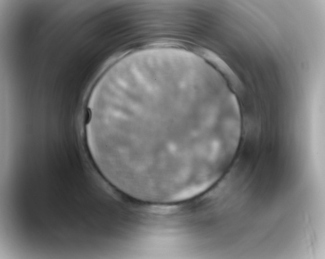 X0000088470860200706051341