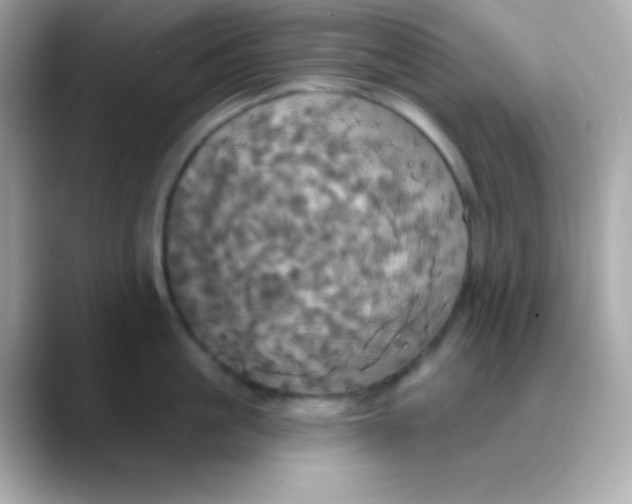 X0000088470861200706051341