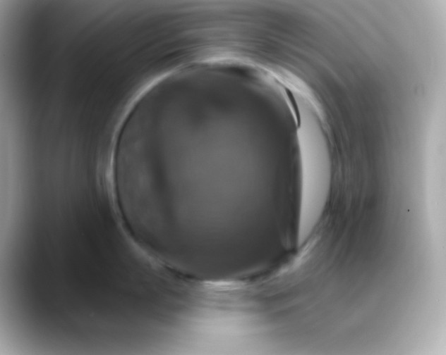 X0000088470863200706051341