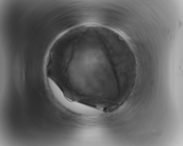 X0000088470864200706051341