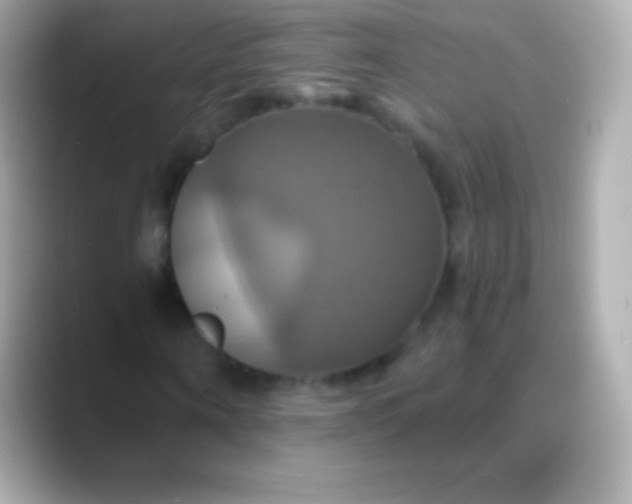 X0000088470866200706051340