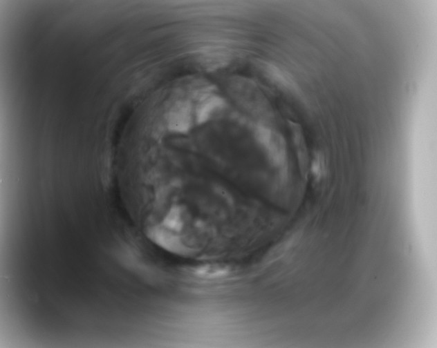 X0000088470867200706051340