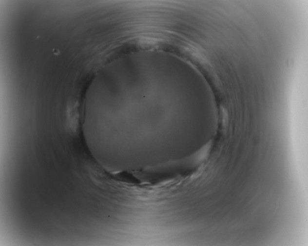 X0000088470868200706051340