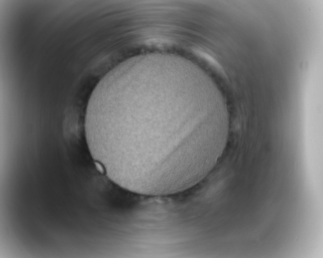 X0000088470869200706051340