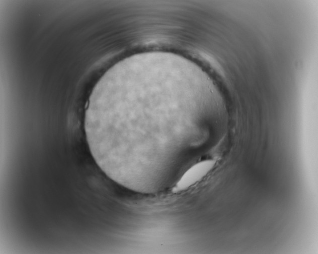 X0000088470872200706051340