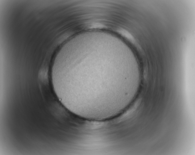 X0000088470873200706051340