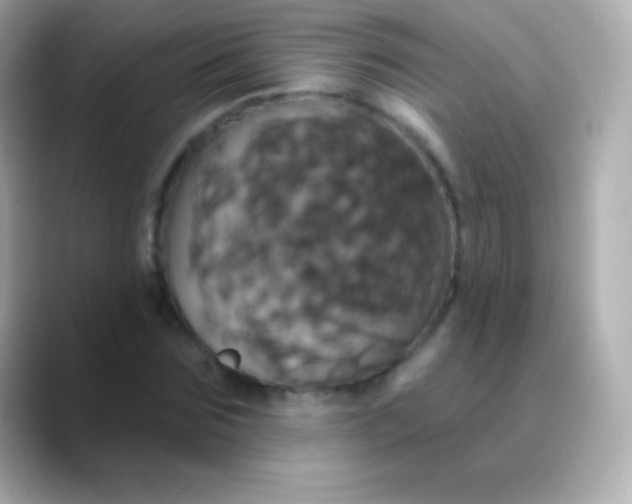 X0000088470875200706051340