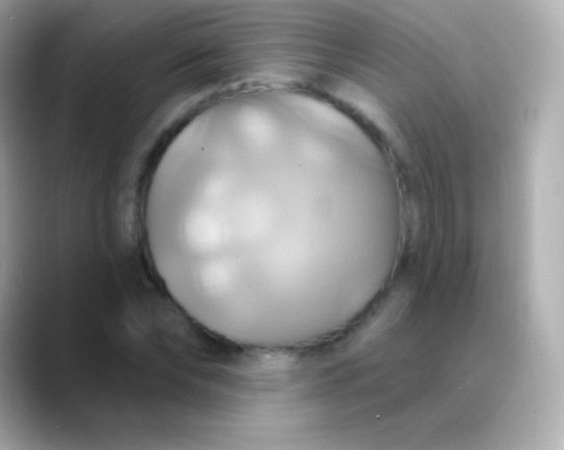 X0000088470878200706051340