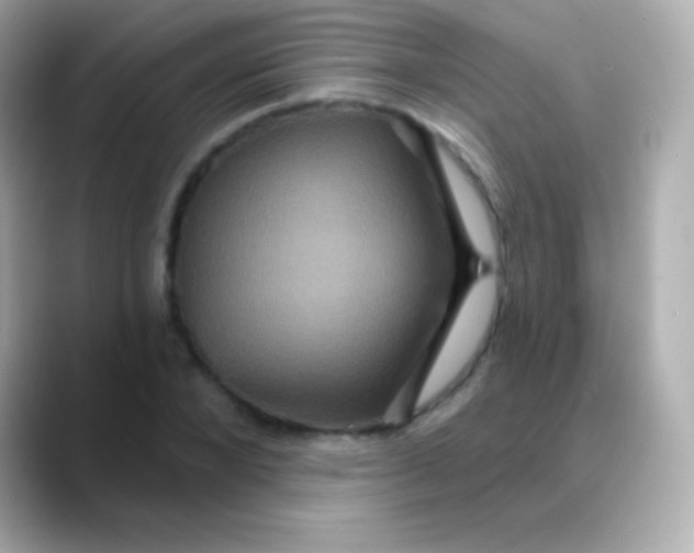 X0000088470880200706051340