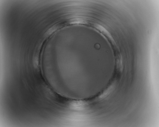 X0000088470882200706051340