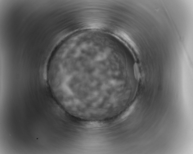 X0000088470883200706051340