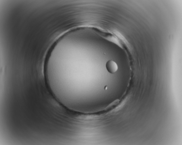 X0000088470884200706051340