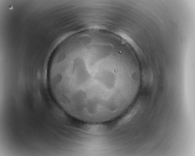 X0000088470886200706051340