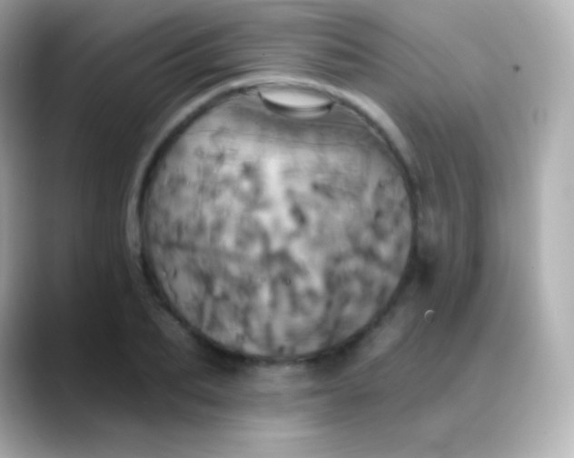 X0000088470887200706051340