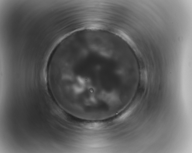 X0000088470891200706051340