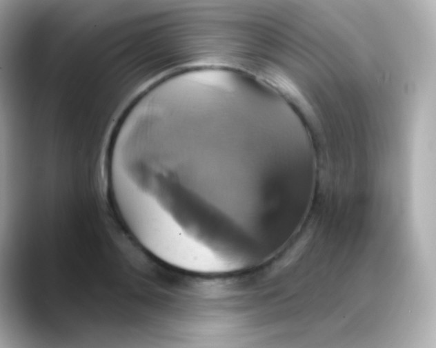 X0000088470892200706051340