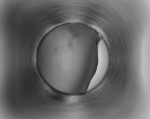 X0000088470894200706051340