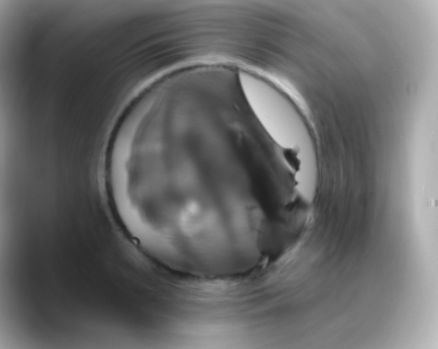 X0000088470895200706051340