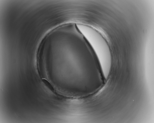 X0000088470896200706051340