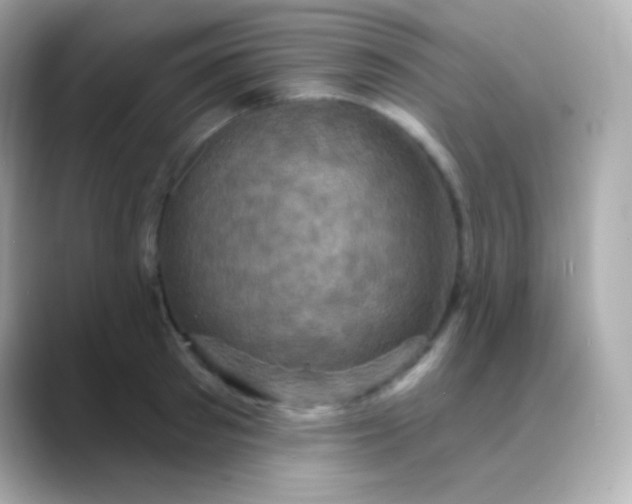 X0000088470897200706051340