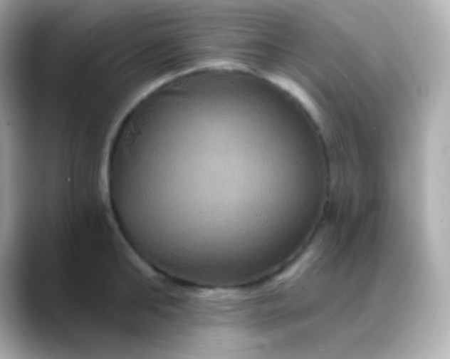 X0000088470902200706051340