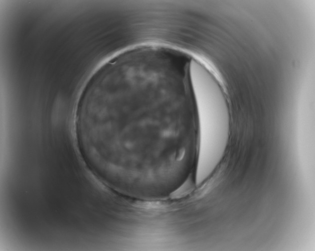 X0000088470903200706051340