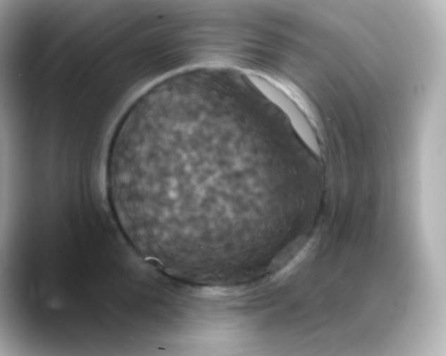 X0000088470904200706051340