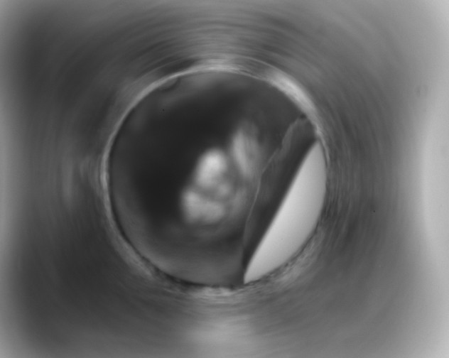 X0000088470907200706051340