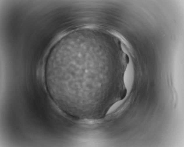 X0000088470910200706051340