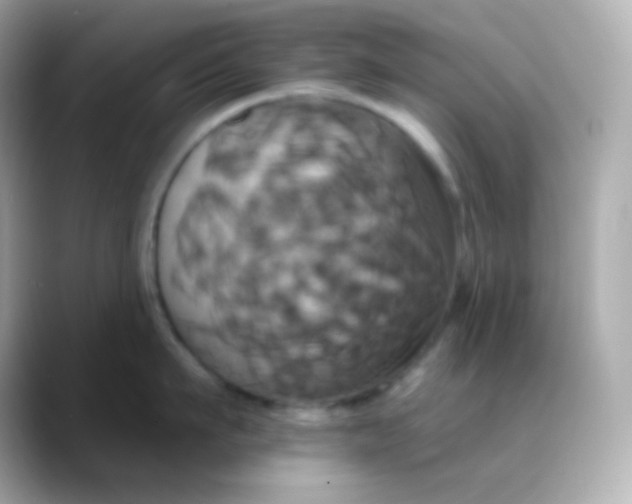 X0000088470911200706051340