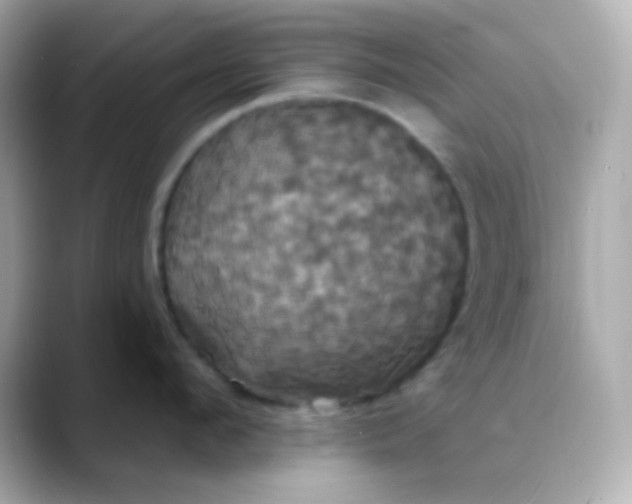 X0000088470912200706051340