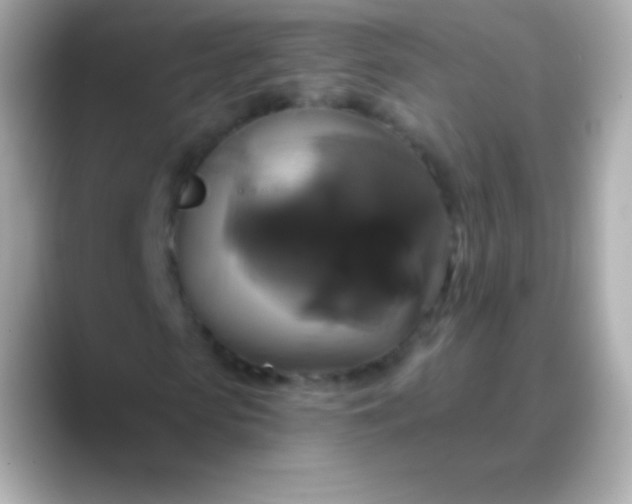 X0000088470913200706051339