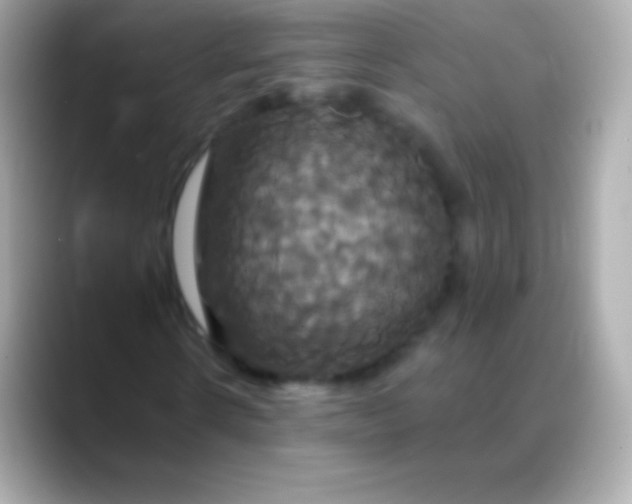 X0000088470914200706051339