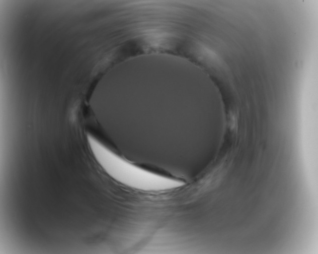 X0000088470915200706051339