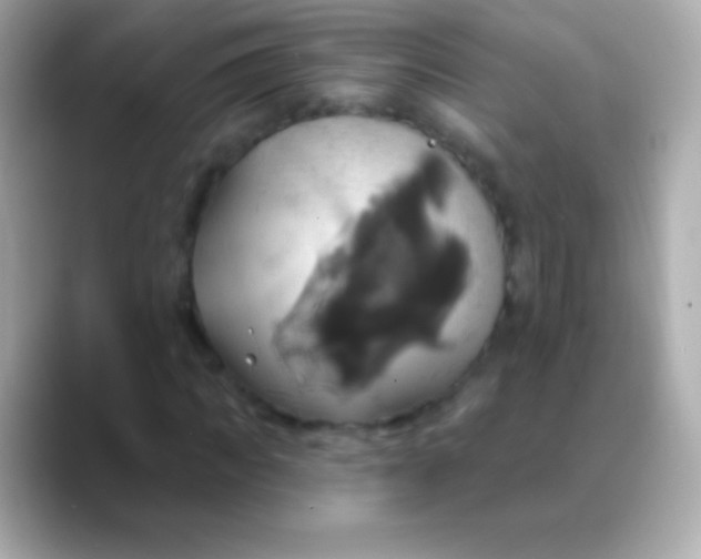 X0000088470917200706051339